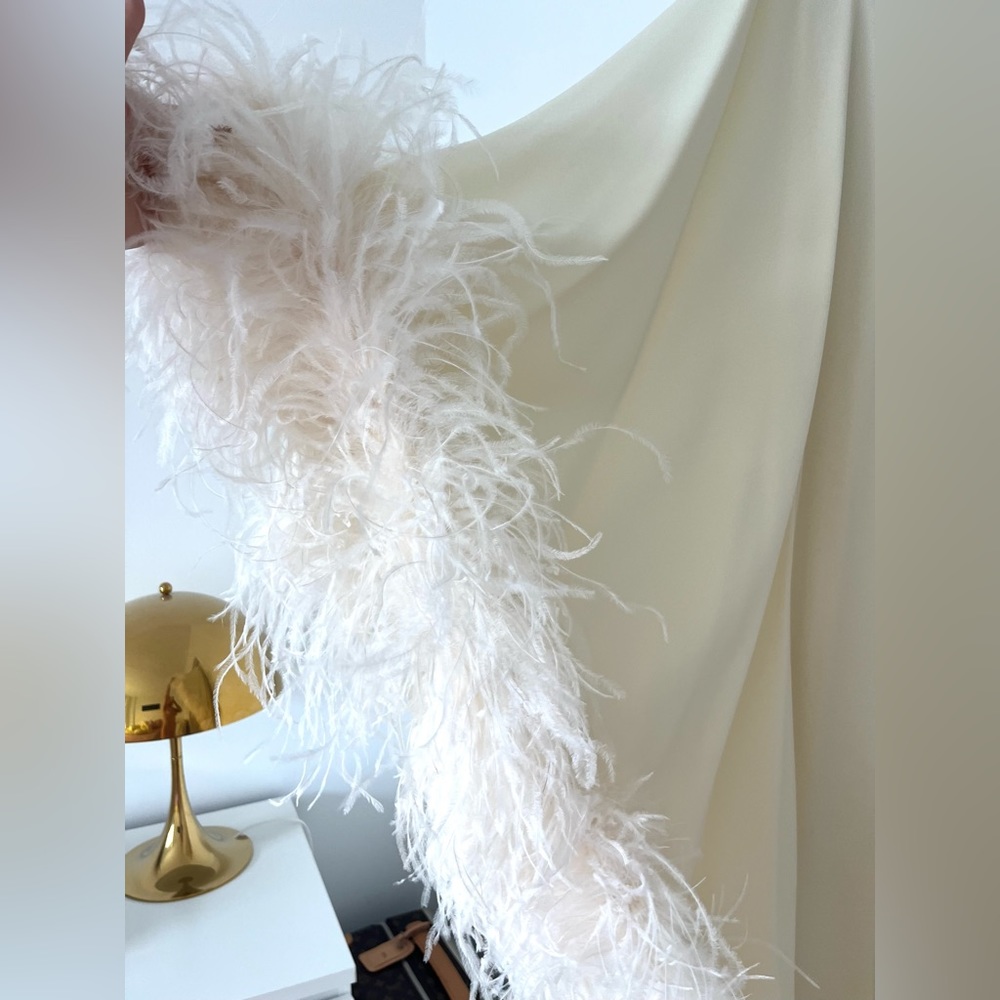 TALLER MARMO Ubud one-shoulder feather-trimmed crepe gown, Size IT 36 (XS) - Picture 11 of 11